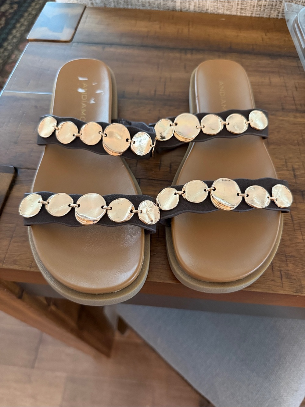 Women's Brown Slide Sandals with Silver Disc Accents